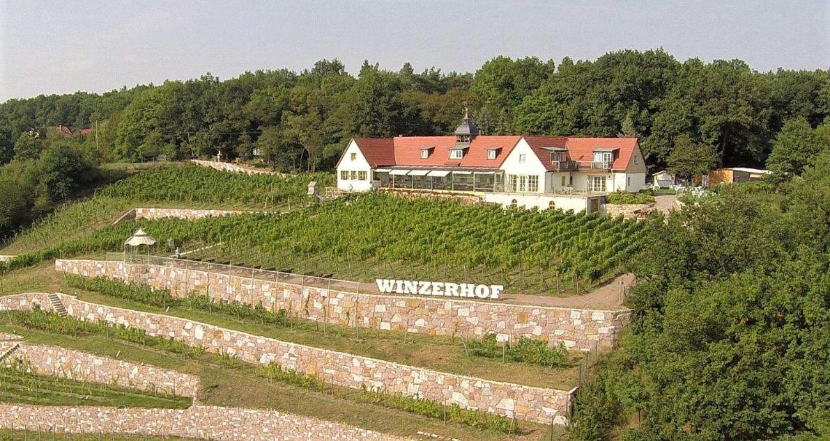 Pension Bella Vista - Winzerhof Golk Meißen Zewnętrze zdjęcie